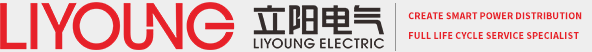 Liyoung Electric Co., Ltd.